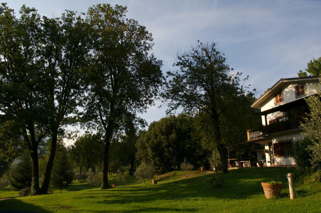 Montelanico La Colonna Bed & Breakfast エクステリア 写真
